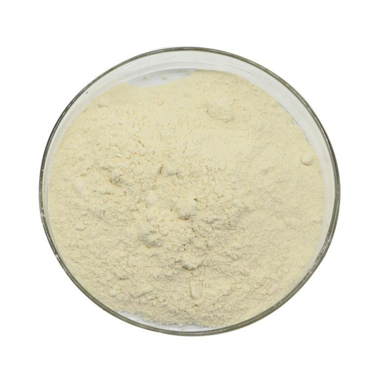 Xanthan Gum – Ksantan Sakızı