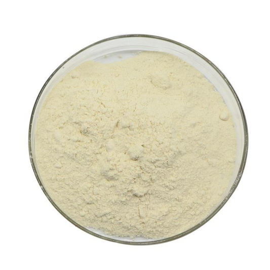 Xanthan Gum – Ksantan Sakızı